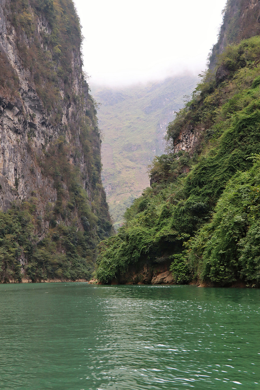  Khu vực có rất nhiều cầu gai