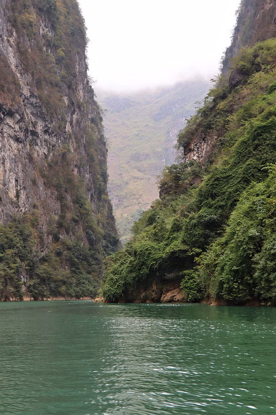  Khu vực có rất nhiều cầu gai