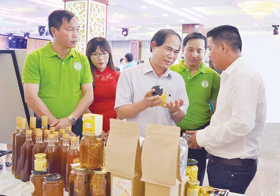  Chủ tịch UBND tỉnh Võ Ngọc Thành (thứ 3 từ trái sang) tham quan gian hàng của Câu lạc bộ Khởi nghiệp nông nghiệp Gia Lai. Ảnh: H.D