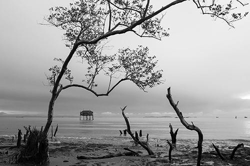 Bãi biển Tân Thành, huyện Gò Công Đông, tỉnh Tiền Giang. Ảnh: Viên Diệu Phát. Bãi biển Tân Thành, huyện Gò Công Đông, tỉnh Tiền Giang. Ảnh: Viên Diệu Phát.