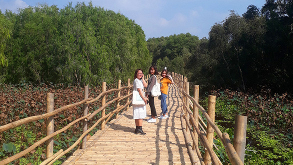  “Cầu tre vạn bước” xuyên rừng tràm Trà Sư - Ảnh: B.Đ.