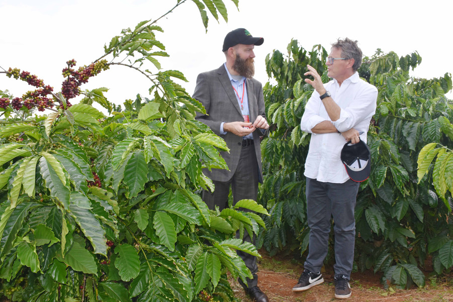 Ông Gerardo Patacconi-Trưởng ban điều hành Tổ chức cà phê Quốc tế (bìa trái) trao đổi với ông Will Mackereth-Giám đốc chuỗi cung ứng Nestle Việt Nam về sản xuất cà phê 4C tại Gia Lai. Ảnh: Lê Nam