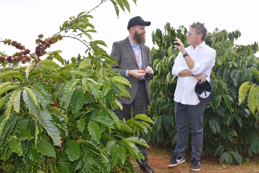Ông Gerardo Patacconi-Trưởng ban điều hành Tổ chức cà phê Quốc tế (bìa trái) trao đổi với ông Will Mackereth-Giám đốc chuỗi cung ứng Nestle Việt Nam về sản xuất cà phê 4C tại Gia Lai. Ảnh: Lê Nam