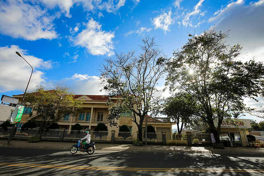 Một số cung đường ngắm hoa ban: Trần Phú – Nhà thờ Con Gà – Dinh 2, Quang Trung – Ga Đà Lạt – Phan Chu Trinh, Phù Đổng Thiên Vương,… Đặc biệt trên đường Trần Phú, tuy đoạn đường ngắn nhưng rất nhiều hoa ban trên đường, vào mùa ban nở rộ thì khung cảnh con đường mang theo vẻ đẹp lãng mạn khôn tả