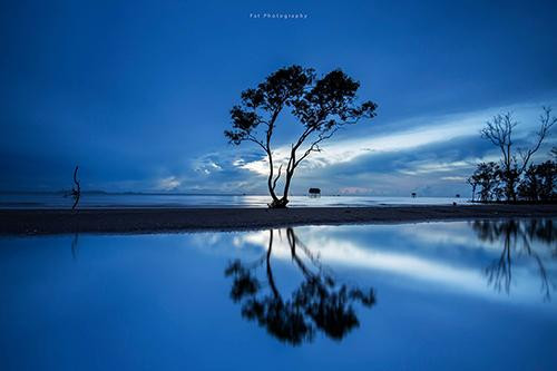 Nếu cần một cây cô đơn còn sống thì bãi biển Tân Thành, huyện Gò Công Đông, tỉnh Tiền Giang cũng có luôn. Ảnh: Viên Diệu Phát. Nếu cần một cây cô đơn còn sống thì bãi biển Tân Thành, huyện Gò Công Đông, tỉnh Tiền Giang cũng có luôn. Ảnh: Viên Diệu Phát.