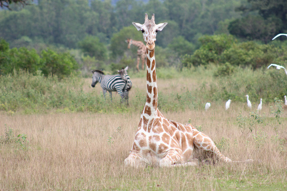 Thiên nhiên hoang dã ở Coron - Ảnh: MINH KHUÊ