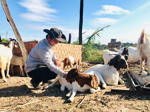 Mô hình nuôi dê bách thảo của anh Trương Viết Thảo mỗi năm cho thu nhập trên 300 triệu đồng - Ảnh Văn Hà.