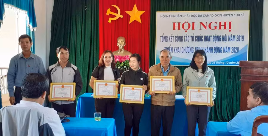 Khen thưởng cho tập thể, cá nhân có thành tích xuất sắc trong công tác vận động, ủng hộ, chăm sóc giúp đỡ nạn nhân chất độc da cam. Ảnh: Ngọc Sang