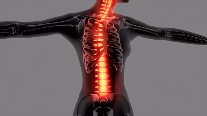 Xương và răng sẽ rắn chắc hơn nếu ăn hạnh nhân mỗi ngày. Xương và răng sẽ rắn chắc hơn nếu ăn hạnh nhân mỗi ngày.