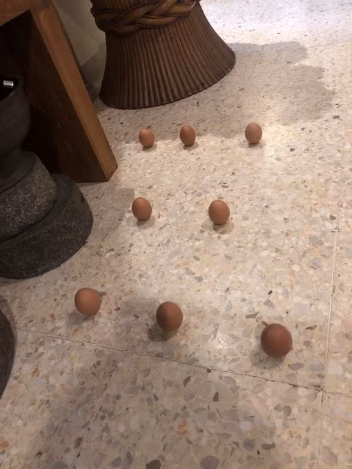 Quả trứng dựng đứng trên các bề mặt khác nhau. Ảnh: Twitter