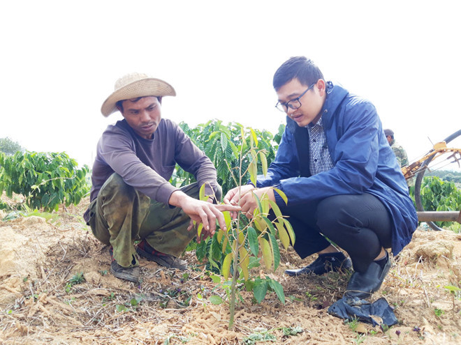  Anh Thi (trái) trao đổi về cách chăm sóc cây sầu riêng - Ảnh: Đức Nhật