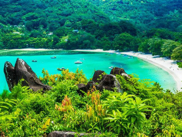  Du khách được thư giãn trên bãi biển nhiệt đới tuyệt đẹp của Seychelles - Ảnh: istock