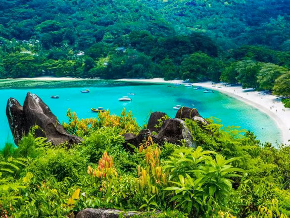  Du khách được thư giãn trên bãi biển nhiệt đới tuyệt đẹp của Seychelles - Ảnh: istock