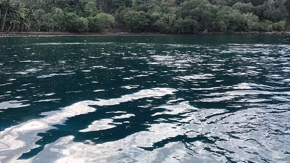 Bọt khí lưu huỳnh nổi trên mặt nước Bọt khí lưu huỳnh nổi trên mặt nước