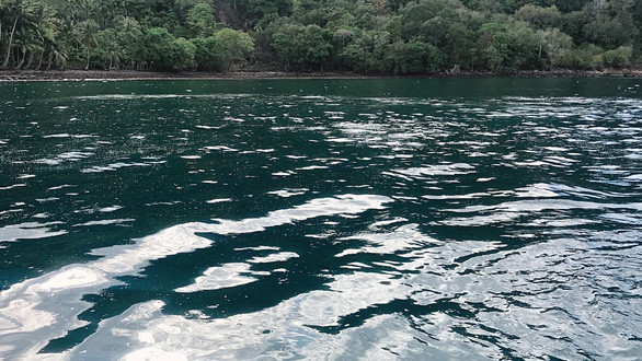 Bọt khí lưu huỳnh nổi trên mặt nước