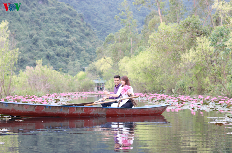 Không gian rộng lớn ngập tràn hoa cũng là địa điểm thích hợp cho các cặp đôi thực hiện những bộ ảnh lãng mạn