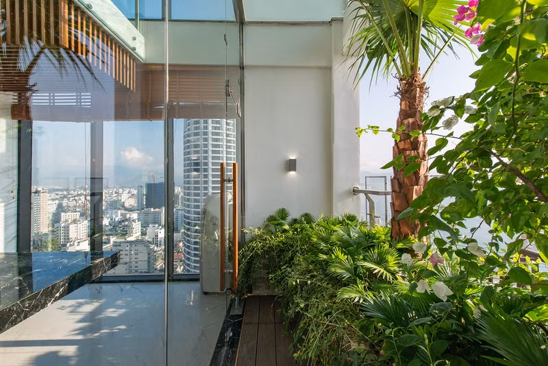 Chủ nhà đã thiết kế khoảng xanh độc lập với khu vực sống bên trong để thưởng thức.