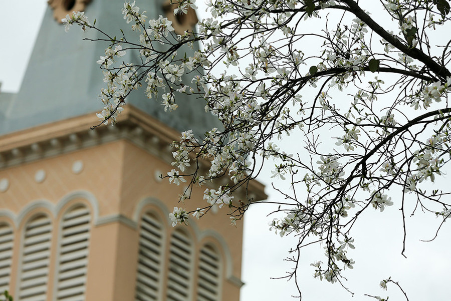 Đến bước đường cùng, nàng Ban đã sang bên bản của Khum để gặp và cầu cứu chàng, nhưng chẳng may Khum không có nhà, nàng bèn lấy chiếc khăn phiêu của mình buộc vào cầu thang của nhà chàng, rồi chạy đi tìm chàng. Vượt qua đèo núi, nàng Ban kiệt sức và gục sau khi vượt qua một dãy núi cao