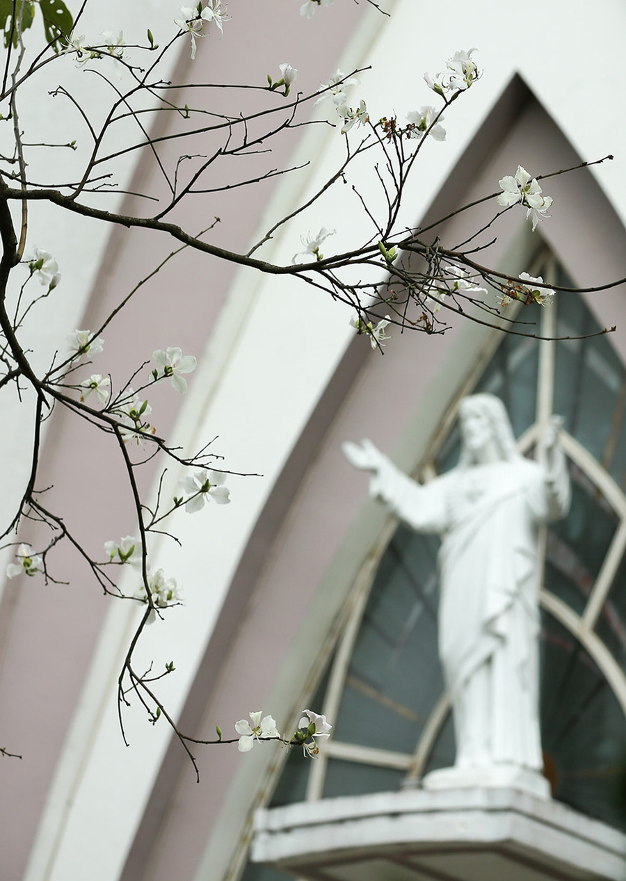 Nơi nàng gục xuống bỗng mọc lên một cây hoa, có bông hoa trắng ngần, 5 cánh hoa như 5 ngón tay búp măng của người con gái, từ đó cái tên hoa ban được hình thành