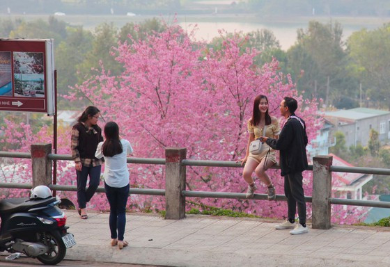 Du khách thích thú với cảnh sắc những ngày cuối năm. Ảnh: ĐOÀN KIÊN