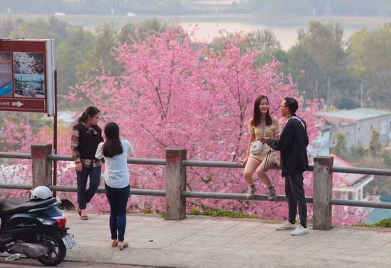 Du khách thích thú với cảnh sắc những ngày cuối năm. Ảnh: ĐOÀN KIÊN