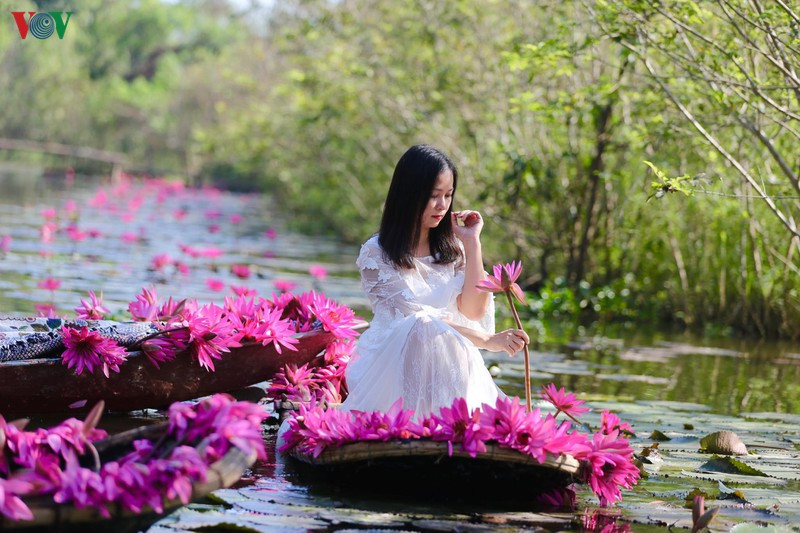 Những chiếc thuyền hoa tím nhuộm hồng cả lòng sông lãng mạn.