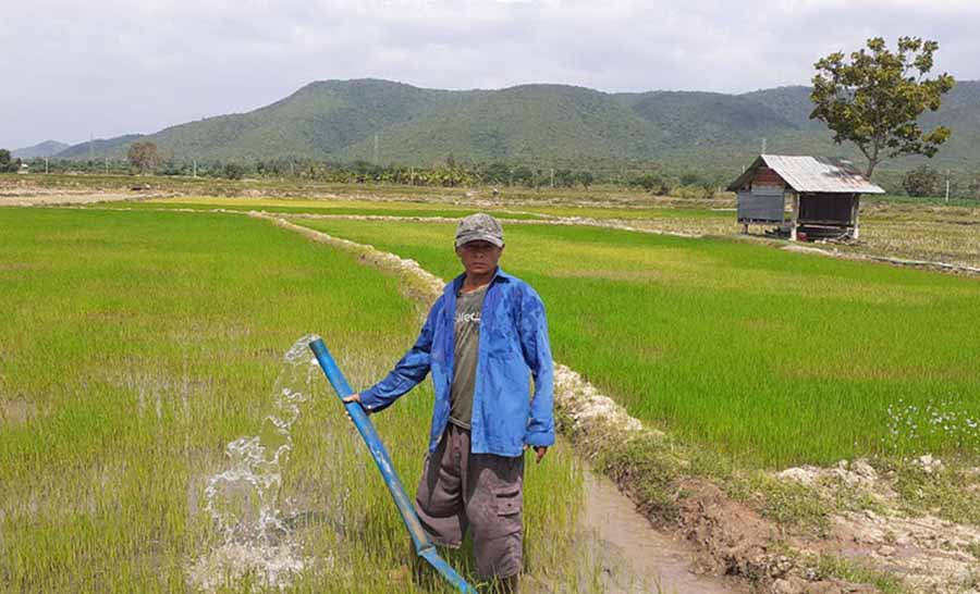 Ông Ksor Then tưới nước cho ruộng lúa ở cánh đồng Kja (xã Chư Gu, huyện Krông Pa). Ảnh: N.T  Ông Ksor Then tưới nước cho ruộng lúa ở cánh đồng Kja (xã Chư Gu, huyện Krông Pa). Ảnh: N.T