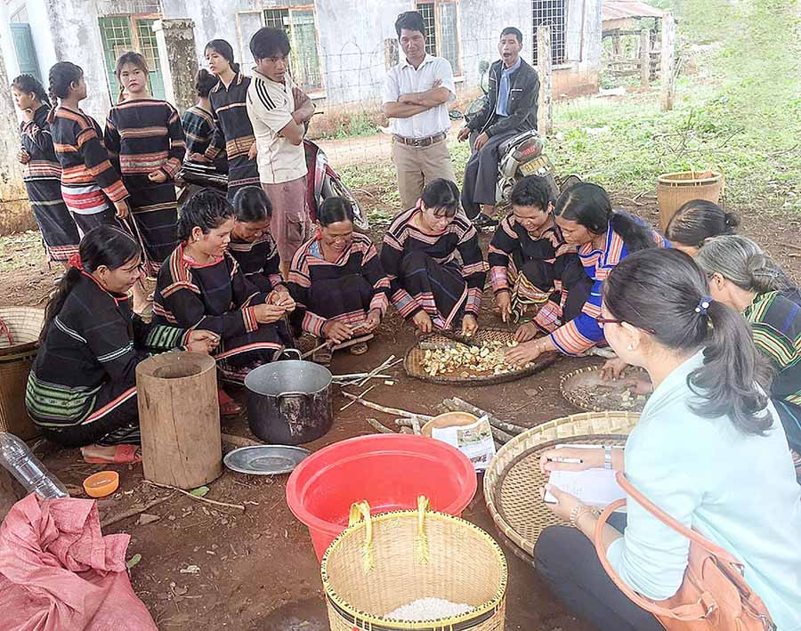  Tổ ủ men rượu truyền thống của phụ nữ làng Bang Ngol (xã Ia Bang, huyện Chư Prông). Ảnh: N.B