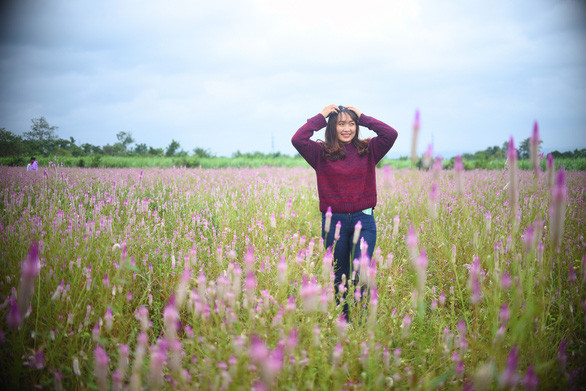 Cánh đồng thu hút rất đông giới trẻ tìm đến check in - Ảnh: LÂM THIÊN