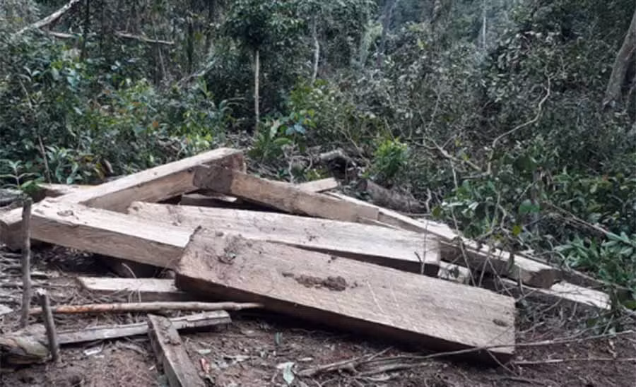 Hàng chục hộp gỗ lớn đang được để lại tại hiện trường
