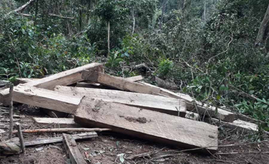 Hàng chục hộp gỗ lớn đang được để lại tại hiện trường