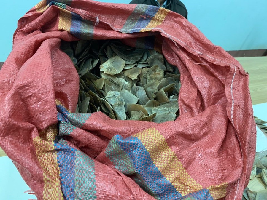  Tang vật được lực lượng chức năng thu giữ. Ảnh: Công an cung cấp.