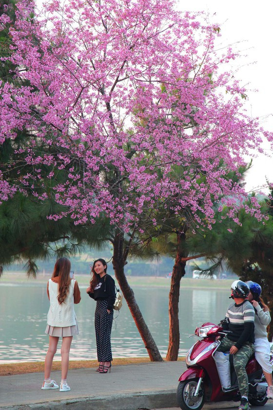 ...Bên hồ Xuân Hương. Ảnh: ĐOÀN KIÊN