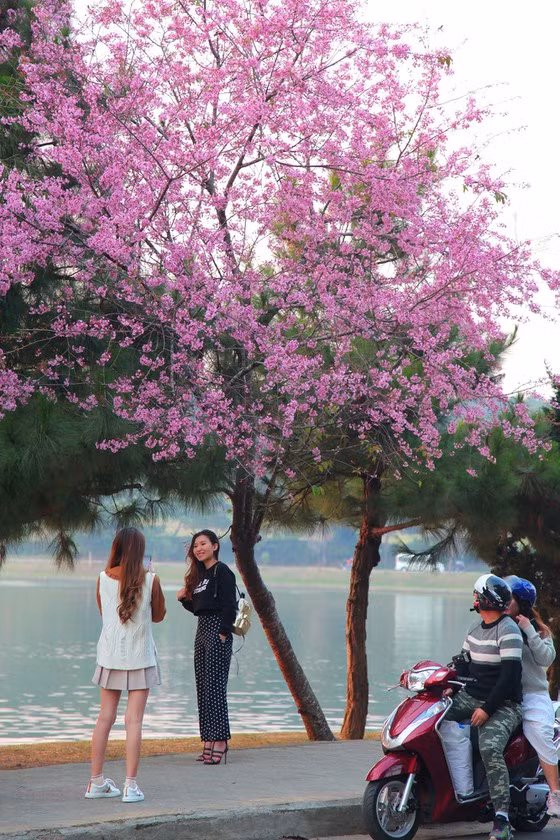 ...Bên hồ Xuân Hương. Ảnh: ĐOÀN KIÊN