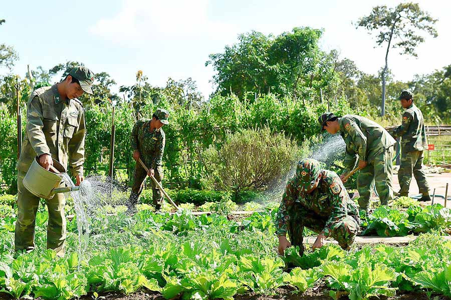 Lực lượng Bộ đội Biên phòng tăng gia sản xuất. Ảnh: Đức Thụy