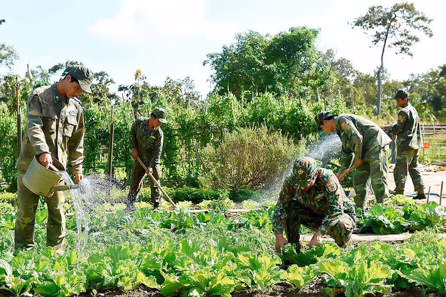 Lực lượng Bộ đội Biên phòng tăng gia sản xuất. Ảnh: Đức Thụy
