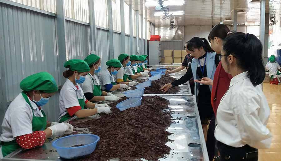  Qua thanh tra, các cơ sở đã chấp hành tốt các quy định, chưa phát hiện vi phạm ATTP. Ảnh: N.N