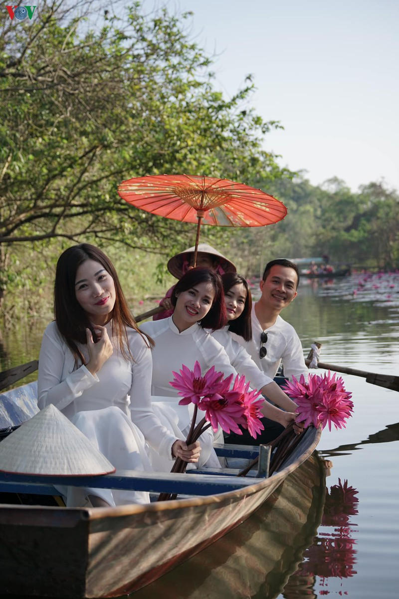 Mùa hoa súng làm nức lòng bao bạn trẻ bởi vẻ đẹp lãng mạn của dòng suối ngập tràn sắc hoa tươi thắm.