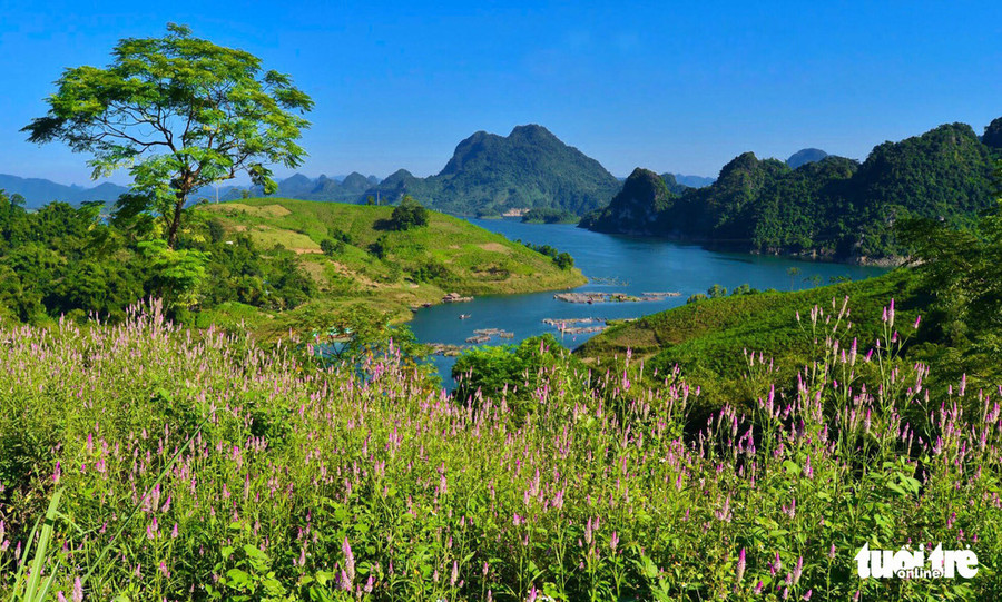  Vẻ đẹp thơ mộng, sơn thủy hữu tình của hồ Hòa bình - Ảnh: DANH TRỌNG