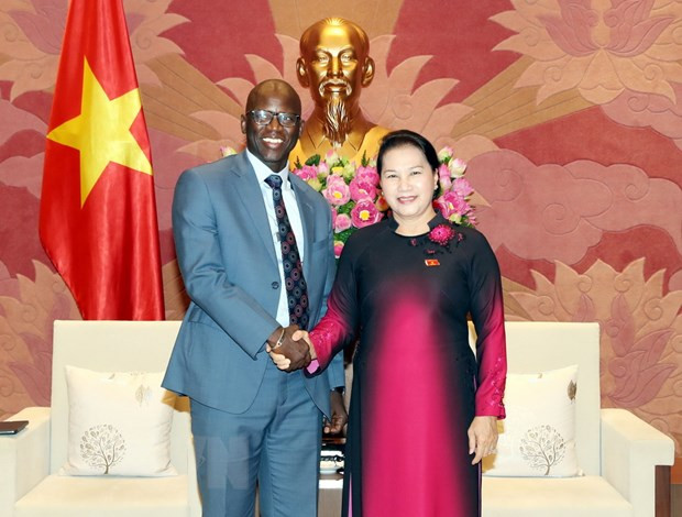  Chủ tịch Quốc hội Nguyễn Thị Kim Ngân tiếp Giám đốc Quốc gia Ngân hàng Thế giới tại Việt Nam Ousmane Dione. (Ảnh: Trọng Đức/TTXVN)