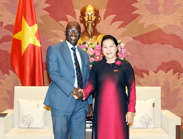  Chủ tịch Quốc hội Nguyễn Thị Kim Ngân tiếp Giám đốc Quốc gia Ngân hàng Thế giới tại Việt Nam Ousmane Dione. (Ảnh: Trọng Đức/TTXVN)