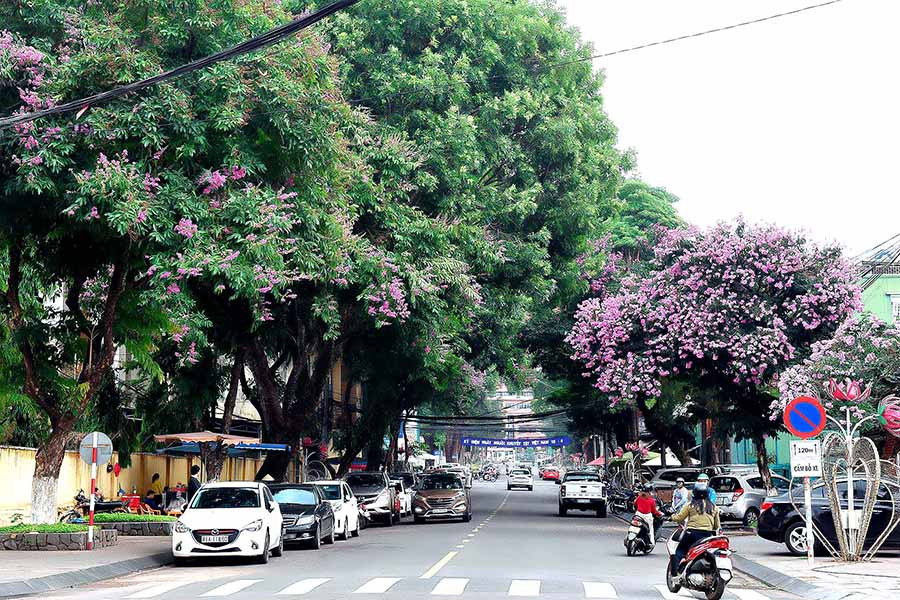  Nhiều tuyến đường trên địa bàn TP. Pleiku rợp bóng cây xanh. Ảnh: Đức Thụy