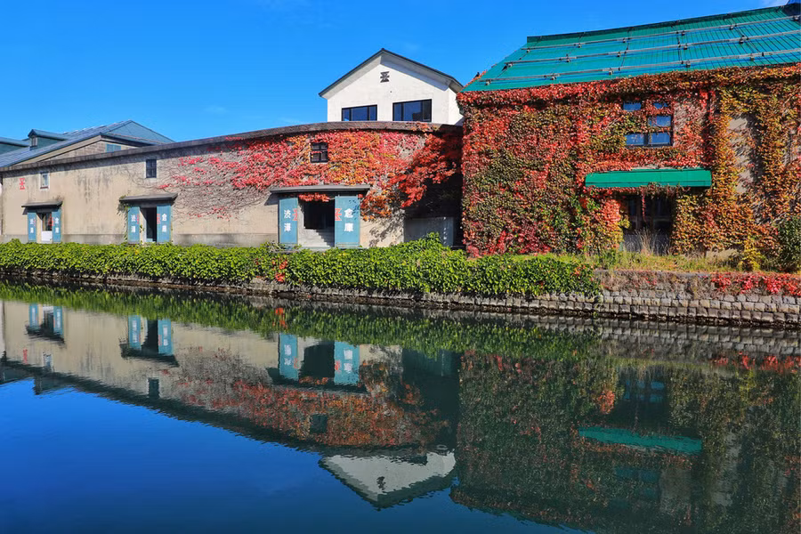 Chỉ có mây trắng ve vãn trời xanh, chỉ có lá đỏ, lá vàng lao xao cùng sương sớm... - Ảnh: NGÔ TRẦN HẢI AN