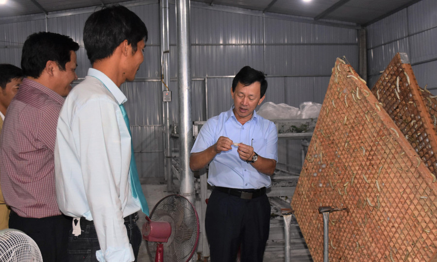 Bí thư Tỉnh ủy Dương Văn Trang trao quà cho tập thể Nông hội hoa, cây cảnh An Khê.