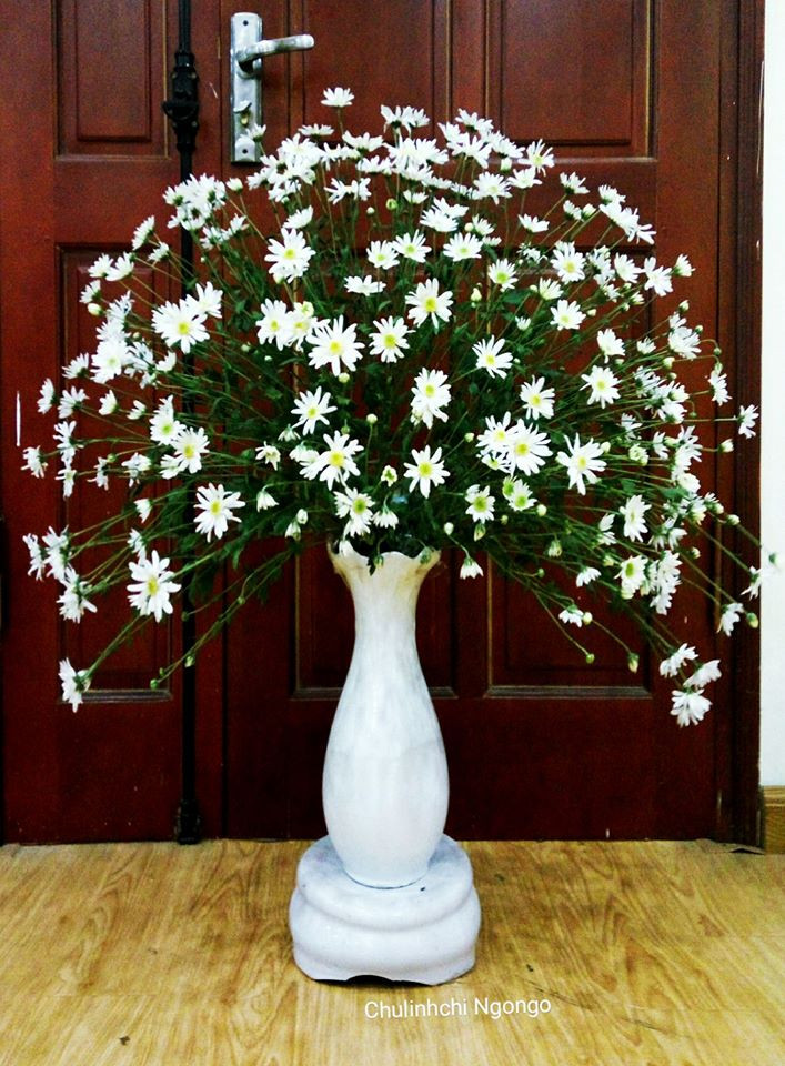 Cách cắm cúc họa mi đơn giản mà đẹp nhất là phong cách tự do để tạo ra một bình hoa tán rộng tự nhiên. Cách cắm cúc họa mi đơn giản mà đẹp nhất là phong cách tự do để tạo ra một bình hoa tán rộng tự nhiên.