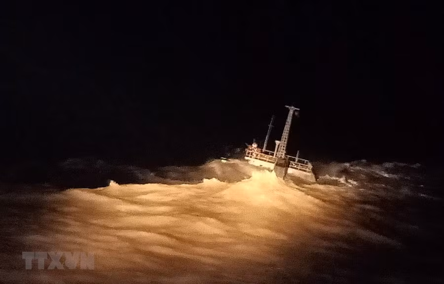 Tàu Đại Hải Phát 17 vào tối 20/11. (Ảnh: Huỳnh Ngọc Sơn - TTXVN)