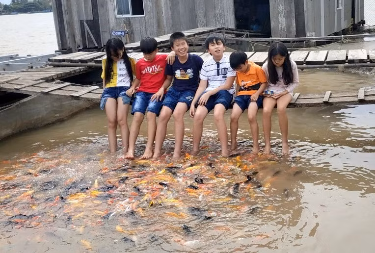 Để kéo khách du lịch đến, những hộ nuôi cá lồng ở Cồn Sơn nuôi nhiều loại cá cảnh, cá lạ để khách tham quan. Ảnh:Th.Nhân.