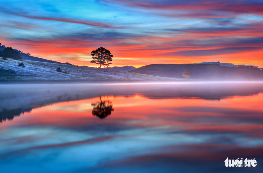  Trảng cỏ hồng bên hồ Đankia - Suối Vàng - Ảnh: ĐINH VĂN BIÊN