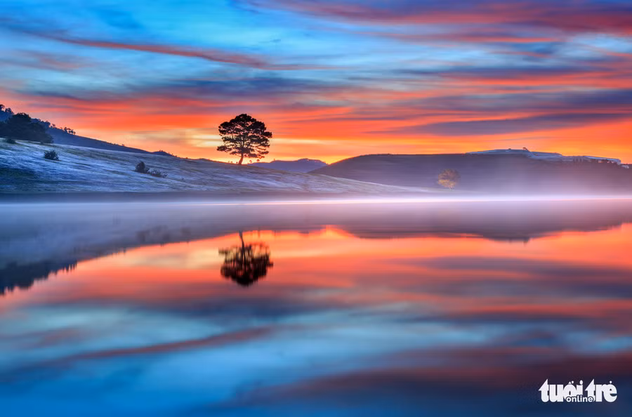  Trảng cỏ hồng bên hồ Đankia - Suối Vàng - Ảnh: ĐINH VĂN BIÊN