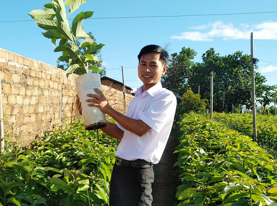 Các giống bơ Mỹ do Công ty TNHH Xuất nhập khẩu Bơ Mỹ Hoàng Gia cung cấp đã được chứng nhận đầu dòng bơ Mỹ tại Việt Nam. Ảnh: S.C  Các giống bơ Mỹ do Công ty TNHH Xuất nhập khẩu Bơ Mỹ Hoàng Gia cung cấp đã được chứng nhận đầu dòng bơ Mỹ tại Việt Nam. Ảnh: S.C